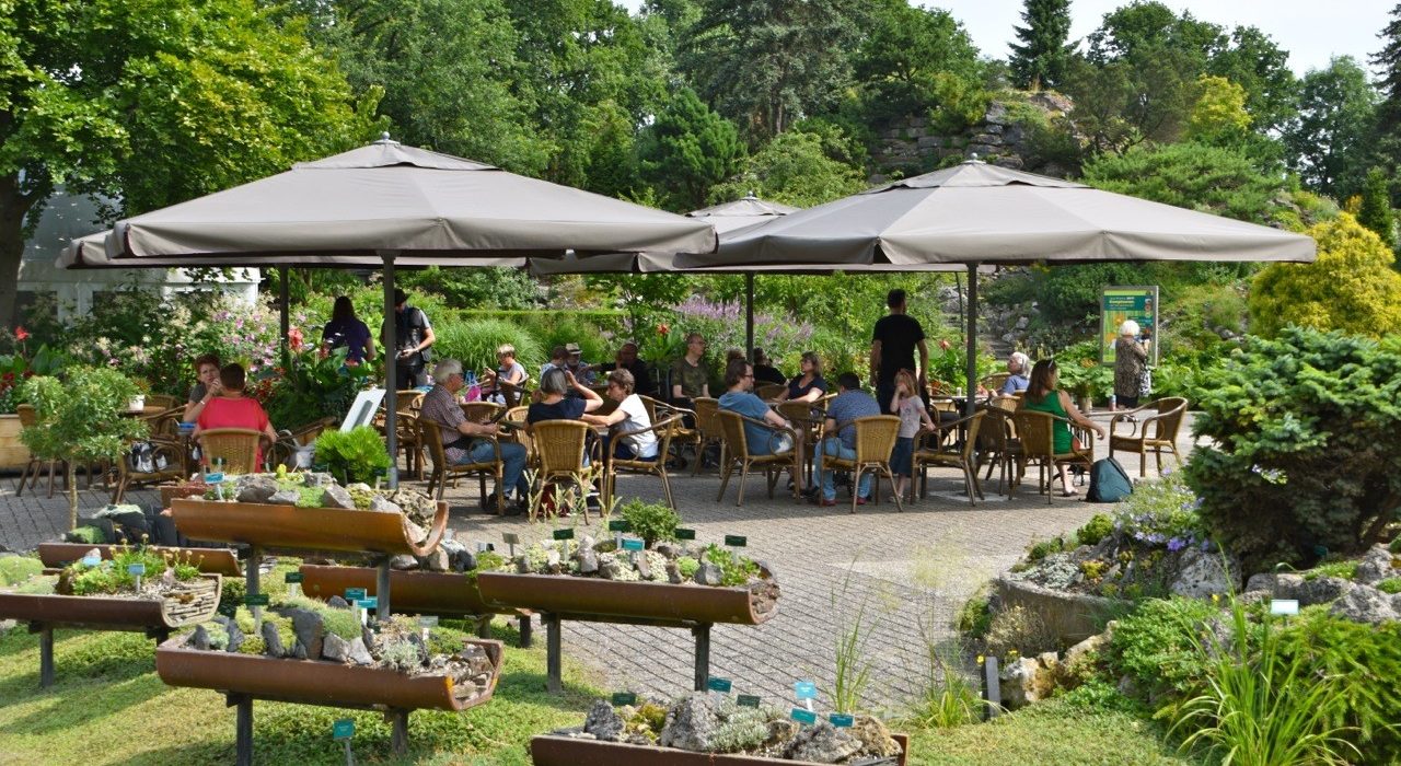 gevaarlijk spreken zeewier Lunchen bij café Botanische Tuinen Utrecht